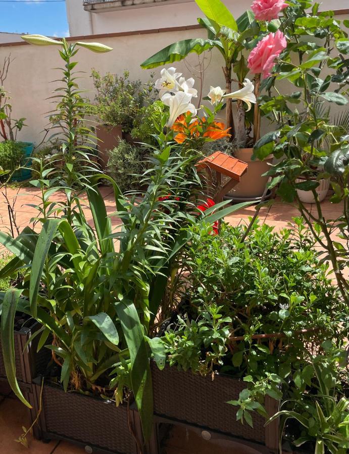 Appartement Figueres Center Figueres (Girona)