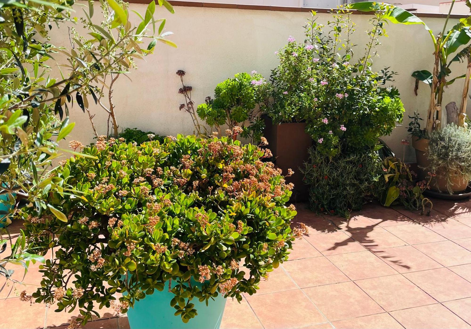 Appartement Figueres Center Figueres (Girona)
